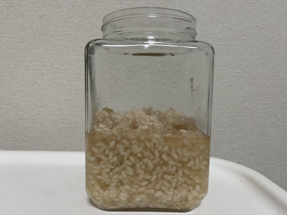 作って３日目の玉ねぎ麹